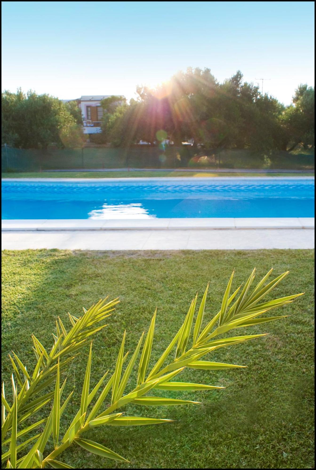 Casa Di Mare Daire Palekastro Dış mekan fotoğraf